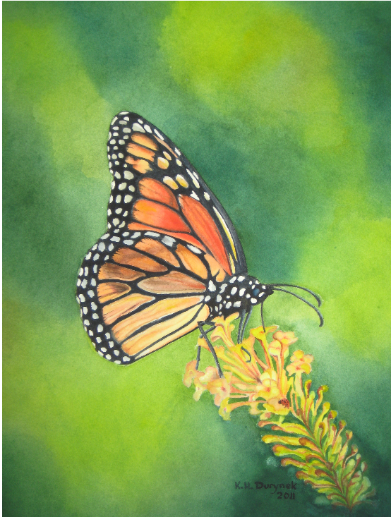 Monarch & Friend – Fine Art Originals by K.H. Durynek